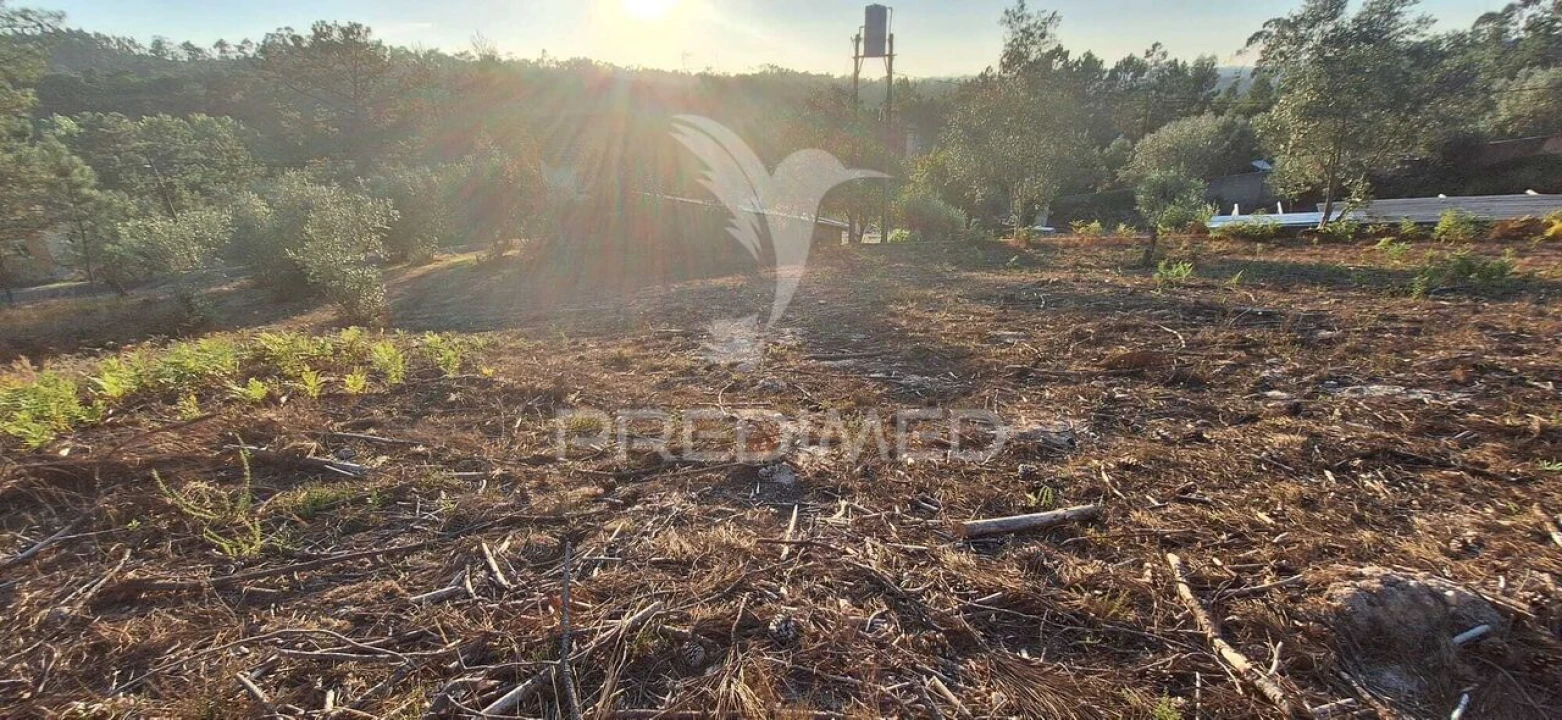 Terreno para Venda em Matas e Cercal Foto 24