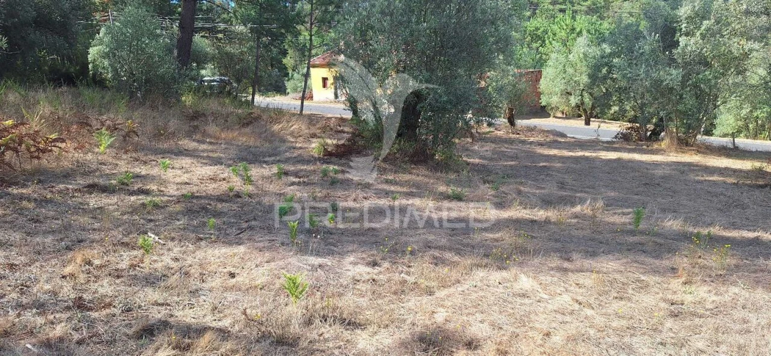 Terreno para Venda em Matas e Cercal Foto 11