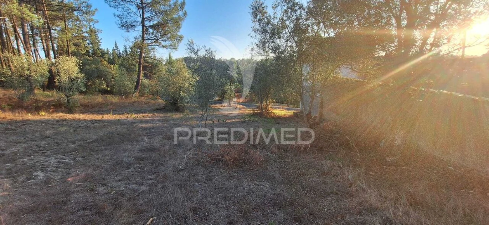 Terreno para Venda em Matas e Cercal Foto 3