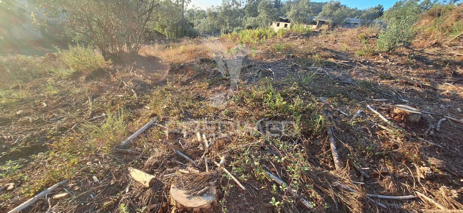 Terreno para Venda em Matas e Cercal Foto 2