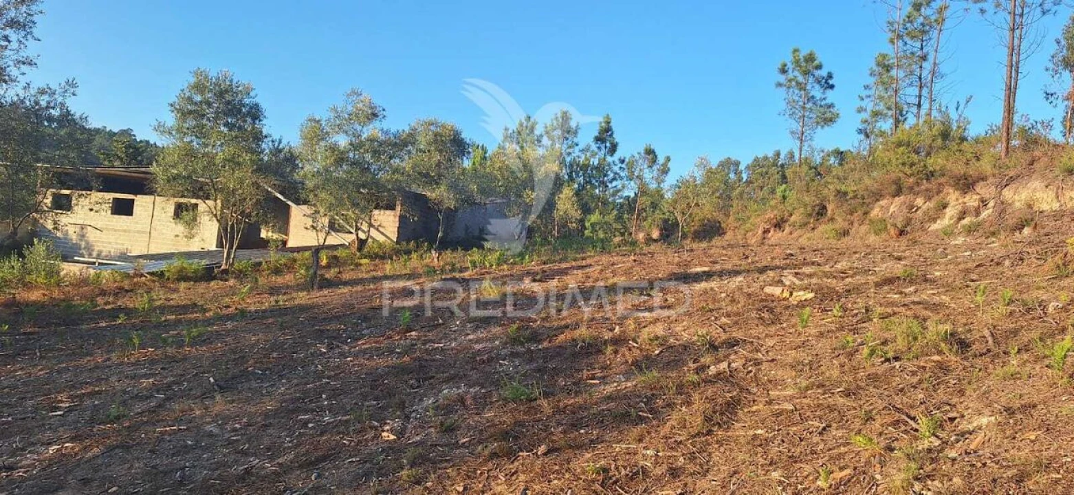 Terreno para Venda em Matas e Cercal Foto 33