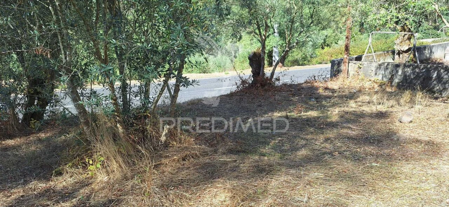 Terreno para Venda em Matas e Cercal Foto 5