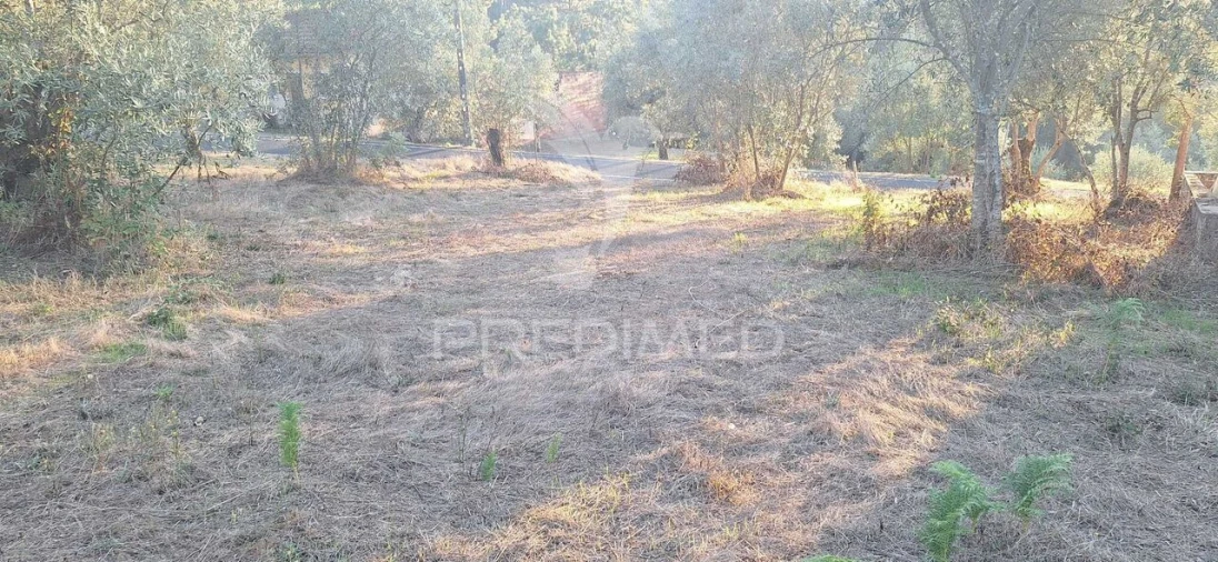 Terreno para Venda em Matas e Cercal Foto 39