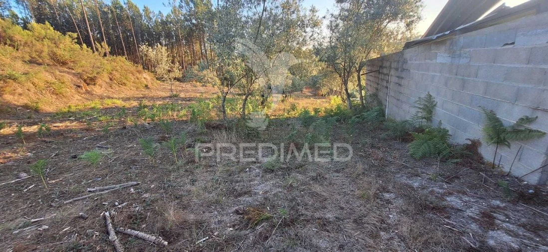 Terreno para Venda em Matas e Cercal Foto 29