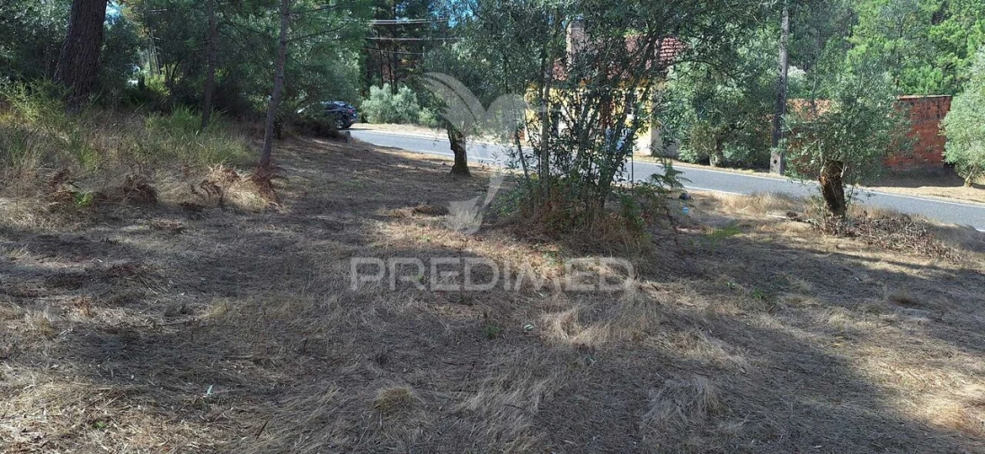 Terreno para Venda em Matas e Cercal Foto 8