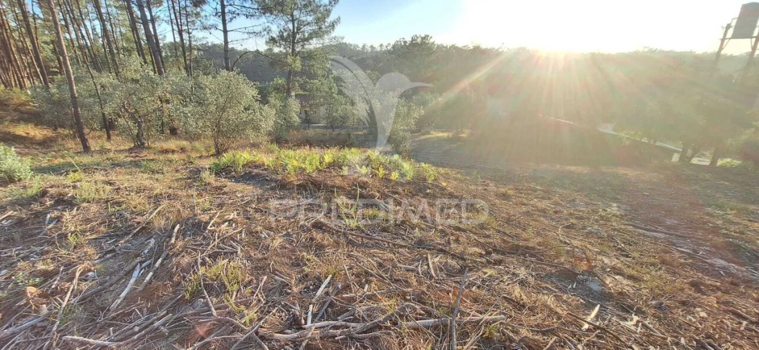 Terreno para Venda em Matas e Cercal Foto 25