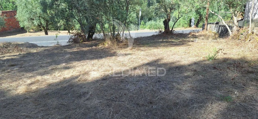 Terreno para Venda em Matas e Cercal Foto 7