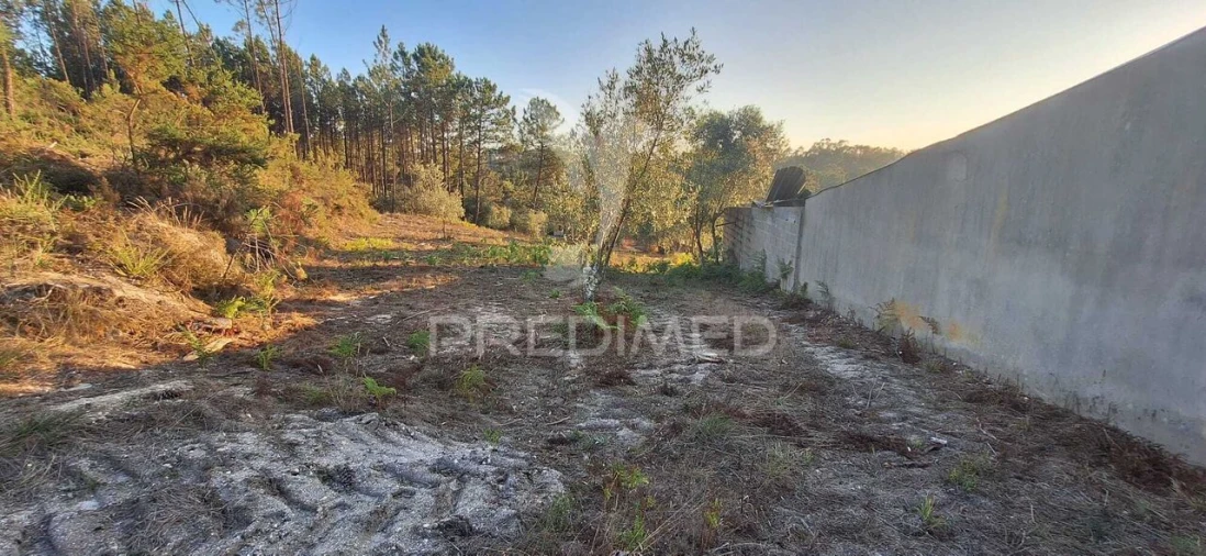 Terreno para Venda em Matas e Cercal Foto 27