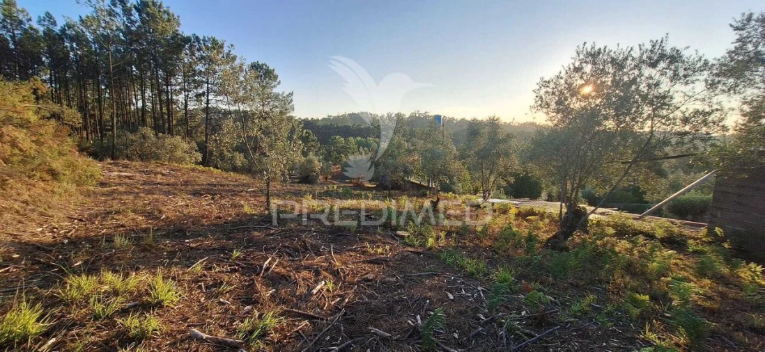 Terreno para Venda em Matas e Cercal Foto 36