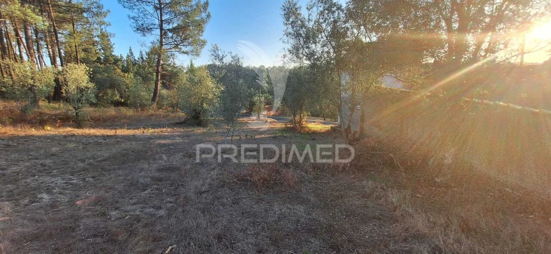 Terreno para Venda em Matas e Cercal Foto 3