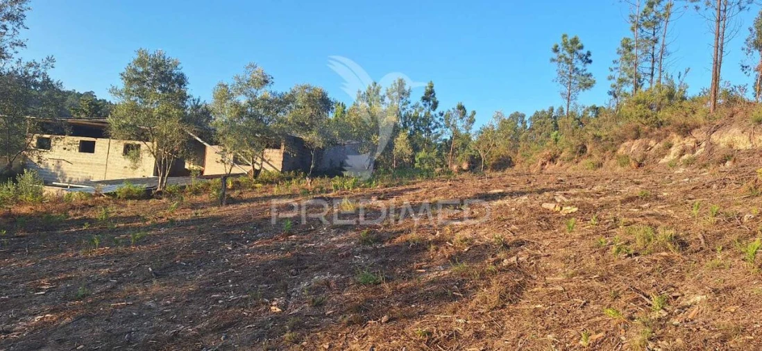 Terreno para Venda em Matas e Cercal Foto 33