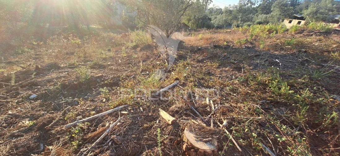 Terreno para Venda em Matas e Cercal Foto 21