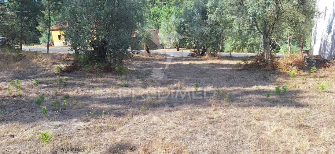 Terreno para Venda em Matas e Cercal Foto 14