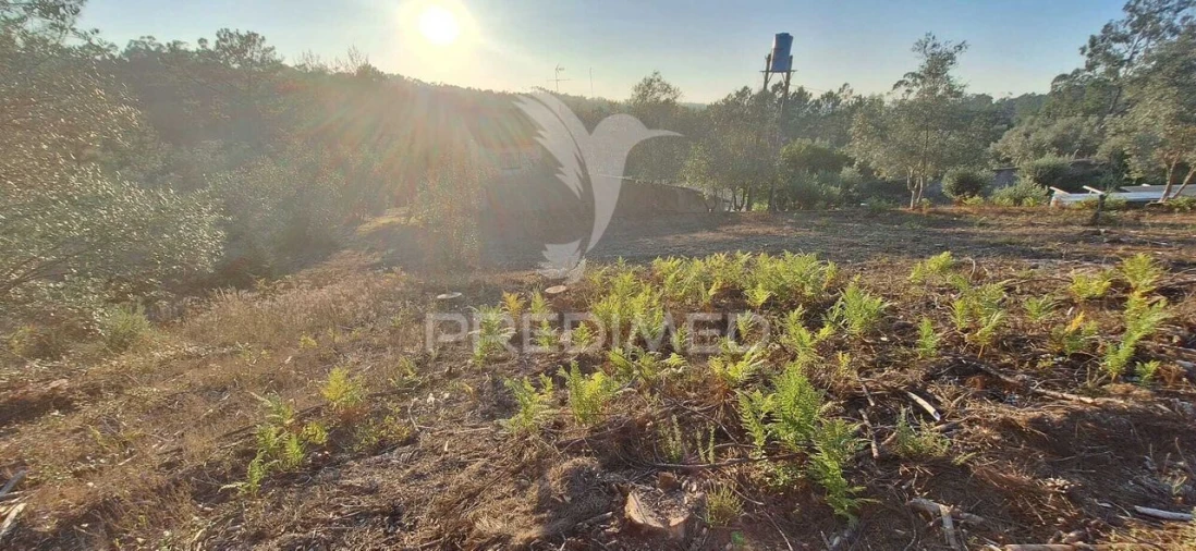 Terreno para Venda em Matas e Cercal Foto 35
