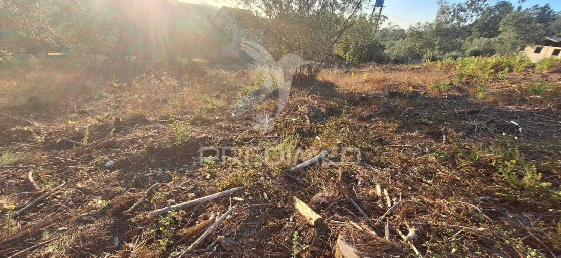 Terreno para Venda em Matas e Cercal Foto 22