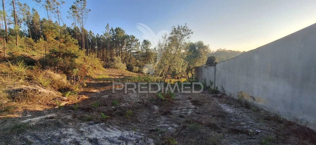 Terreno para Venda em Matas e Cercal Foto 37