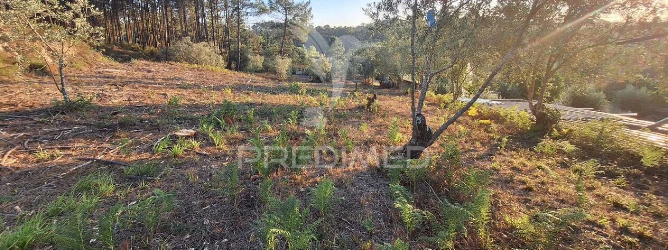 Terreno para Venda em Matas e Cercal Foto 31