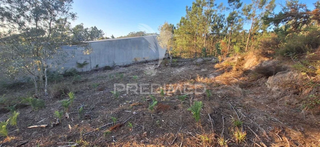 Terreno para Venda em Matas e Cercal Foto 26