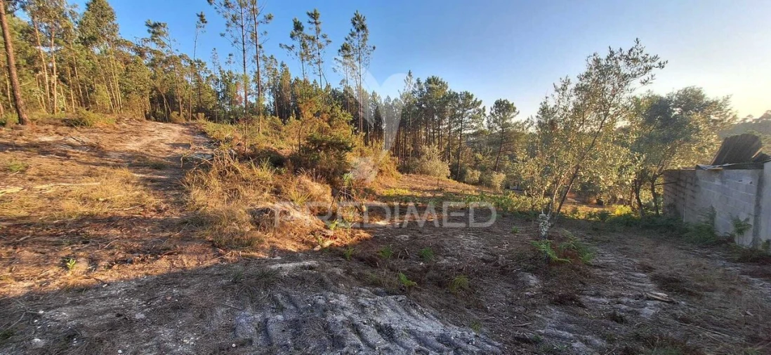 Terreno para Venda em Matas e Cercal Foto 28