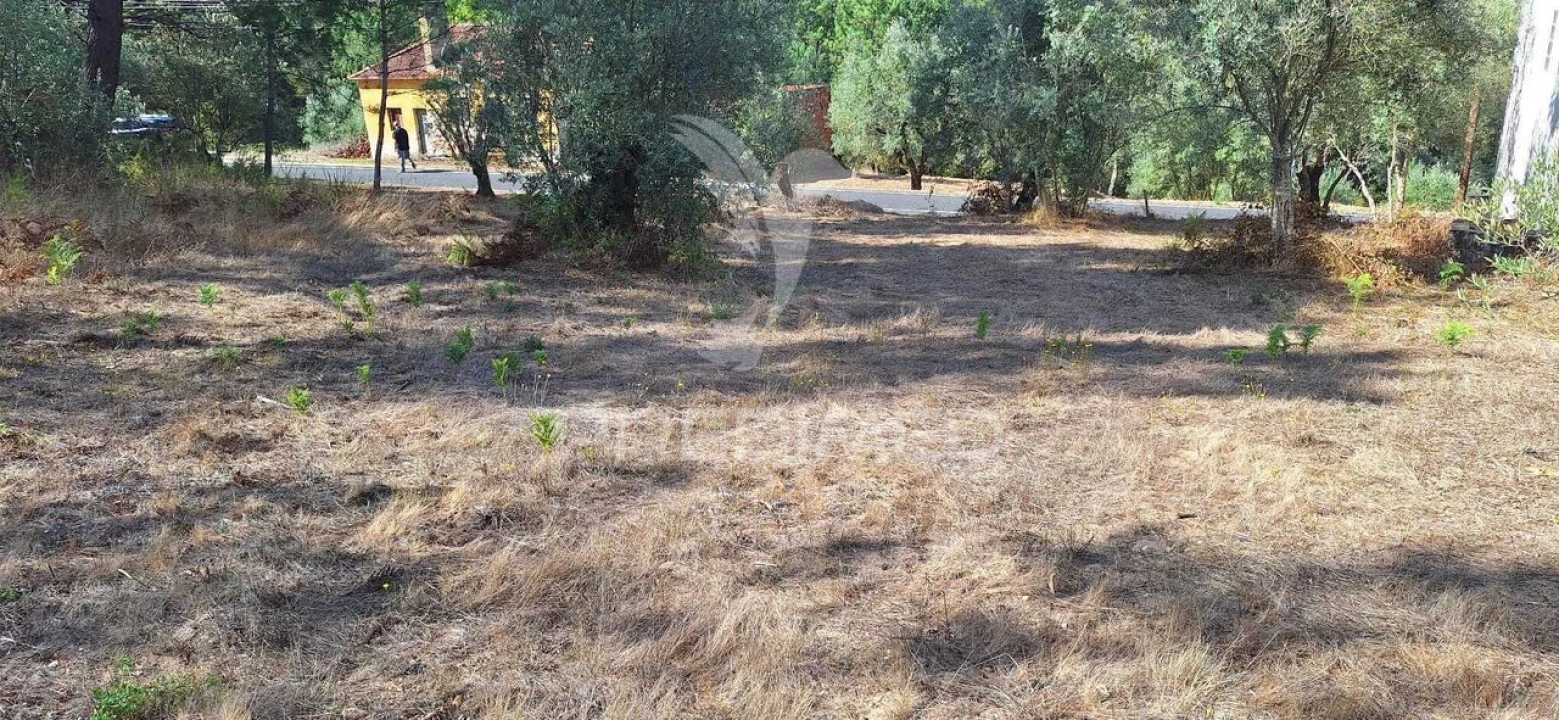 Terreno para Venda em Matas e Cercal Foto 1