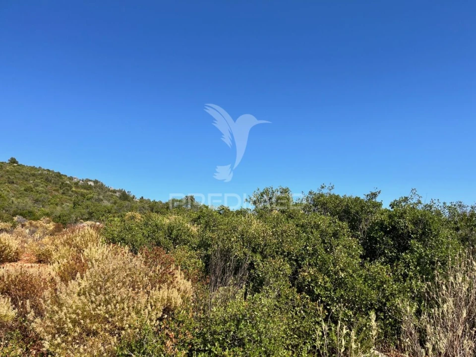 Terreno para Venda em Moncarapacho e Fuseta Foto 6