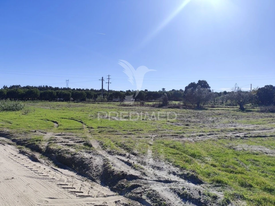 Terreno para Arrendamento em Grândola e Santa Margarida da Serra Foto 6