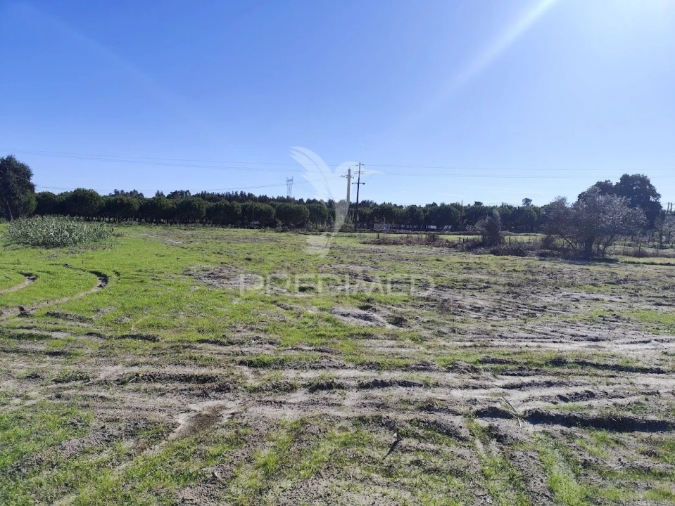 Terreno para Arrendamento em Grândola e Santa Margarida da Serra Foto 1