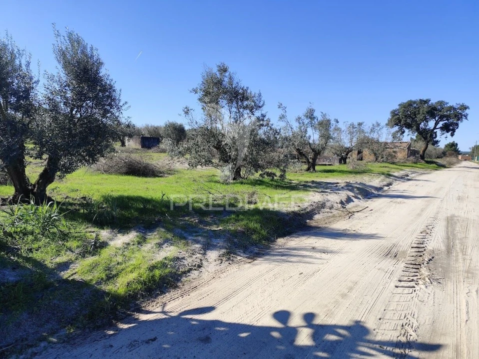 Terreno para Arrendamento em Grândola e Santa Margarida da Serra Foto 7