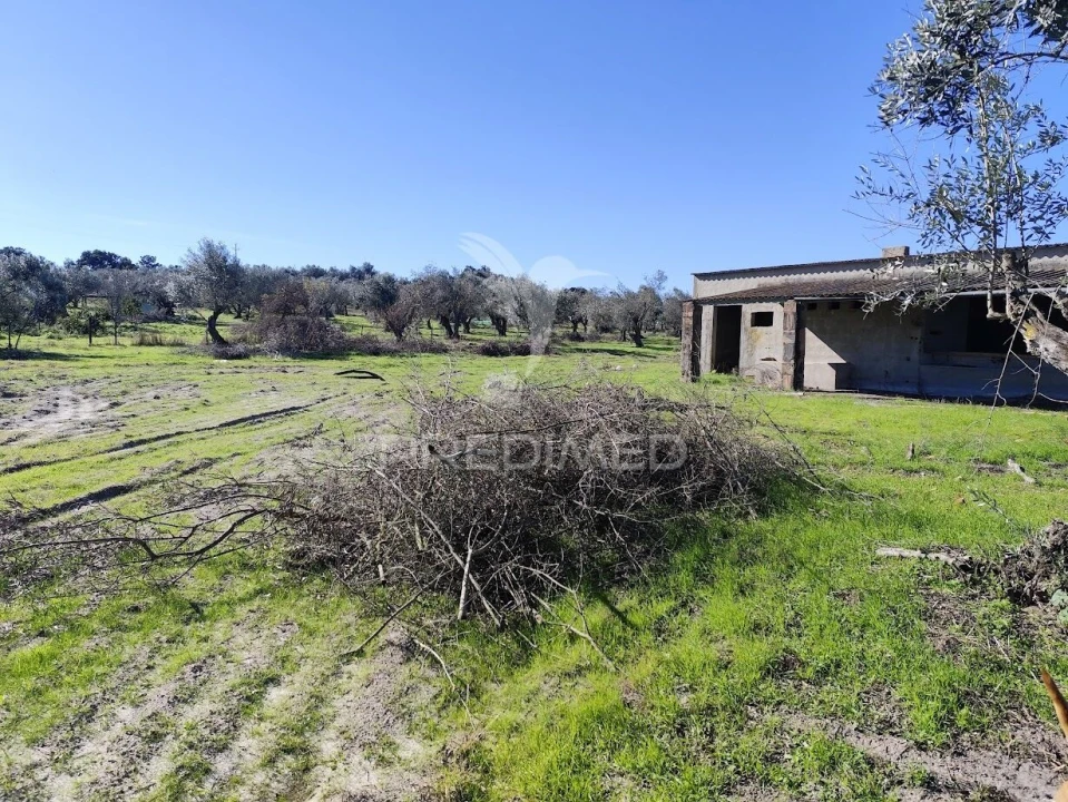 Terreno para Arrendamento em Grândola e Santa Margarida da Serra Foto 2