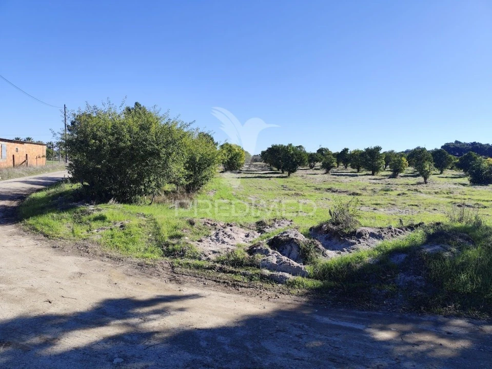 Terreno para Arrendamento em Grândola e Santa Margarida da Serra Foto 9