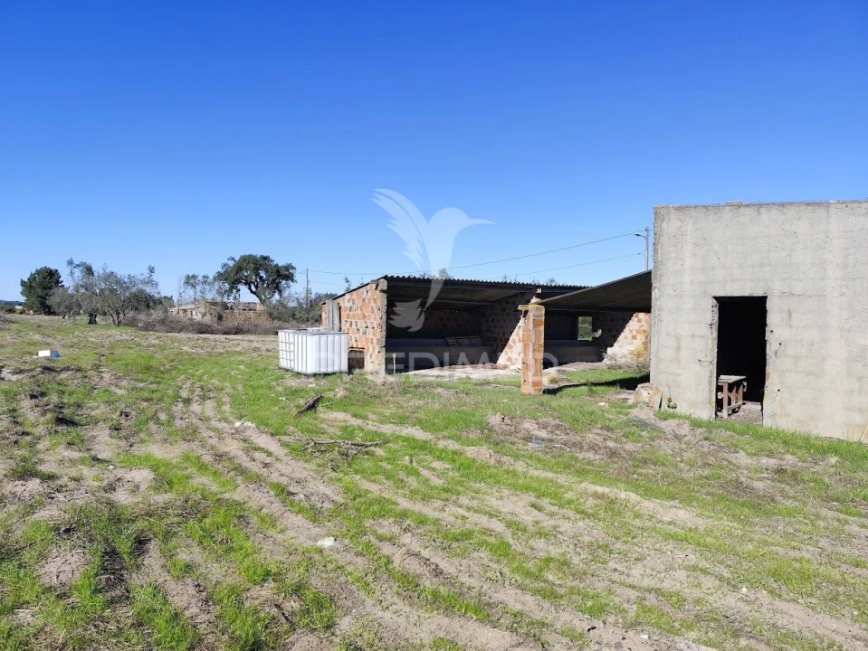 Terreno para Arrendamento em Grândola e Santa Margarida da Serra Foto 3