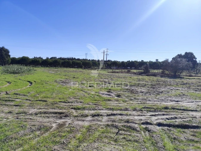 Terreno para Arrendamento em Grândola e Santa Margarida da Serra Foto 1