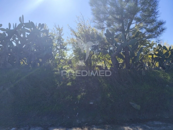 Terreno para Arrendamento em Grândola e Santa Margarida da Serra Foto 8