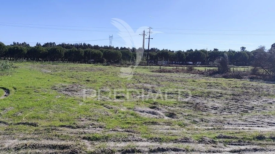 Terreno para Arrendamento em Grândola e Santa Margarida da Serra