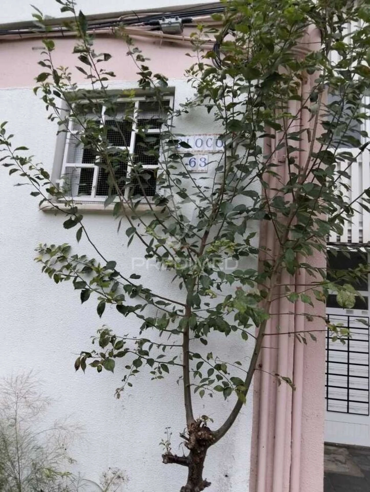 Apartamento T2 para Venda em Baixa da Banheira e Vale da Amoreira Foto 8