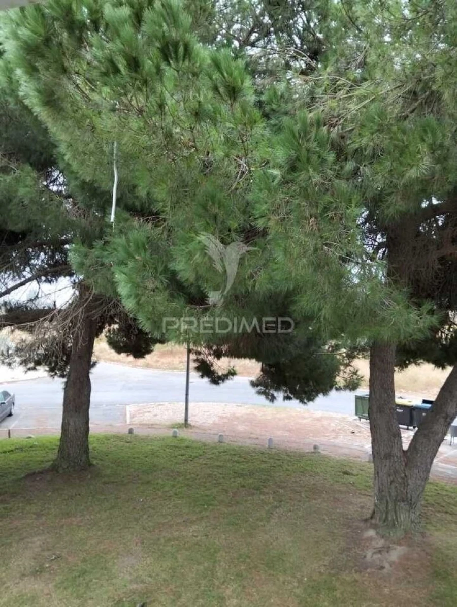 Apartamento T2 para Venda em Baixa da Banheira e Vale da Amoreira Foto 28