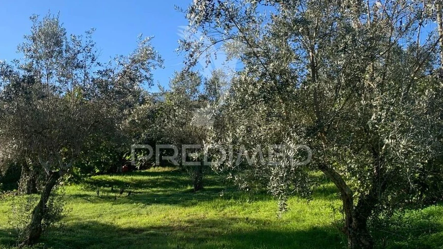 Terreno para Venda em Alvega e Concavada