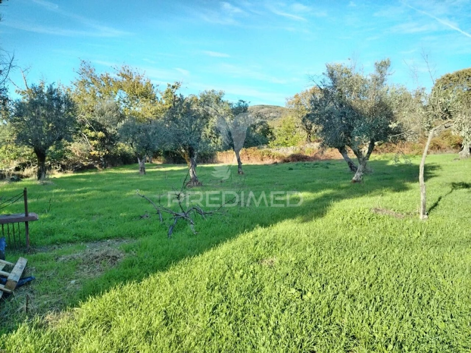 Quinta T2 para Venda em Ribeira de Nisa e Carreiras Foto 14