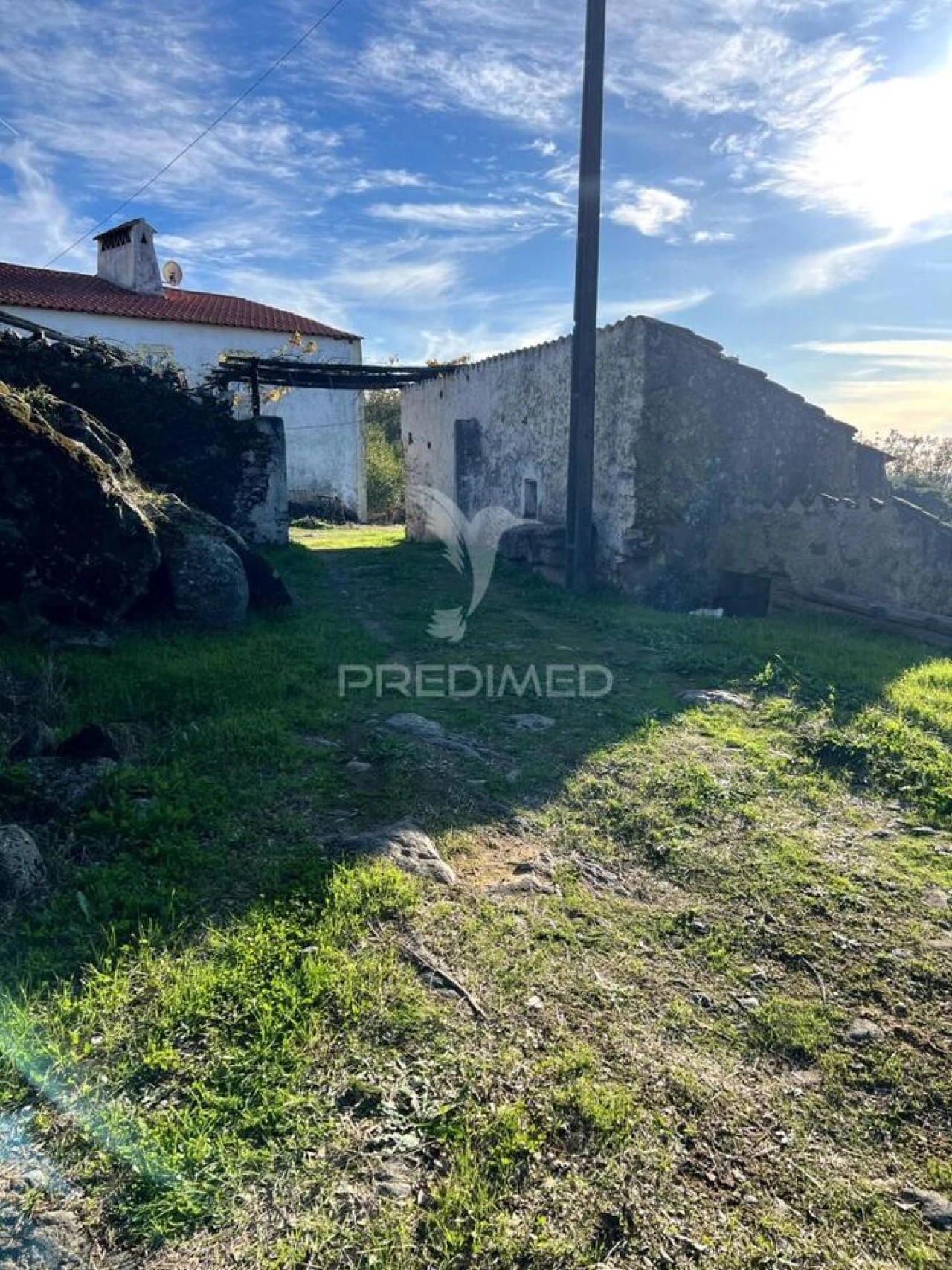 Quinta T2 para Venda em Ribeira de Nisa e Carreiras Foto 17