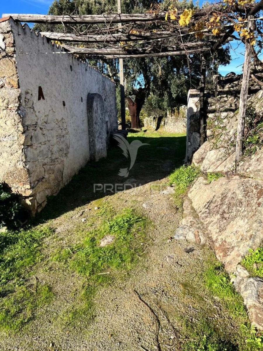 Quinta T2 para Venda em Ribeira de Nisa e Carreiras Foto 16