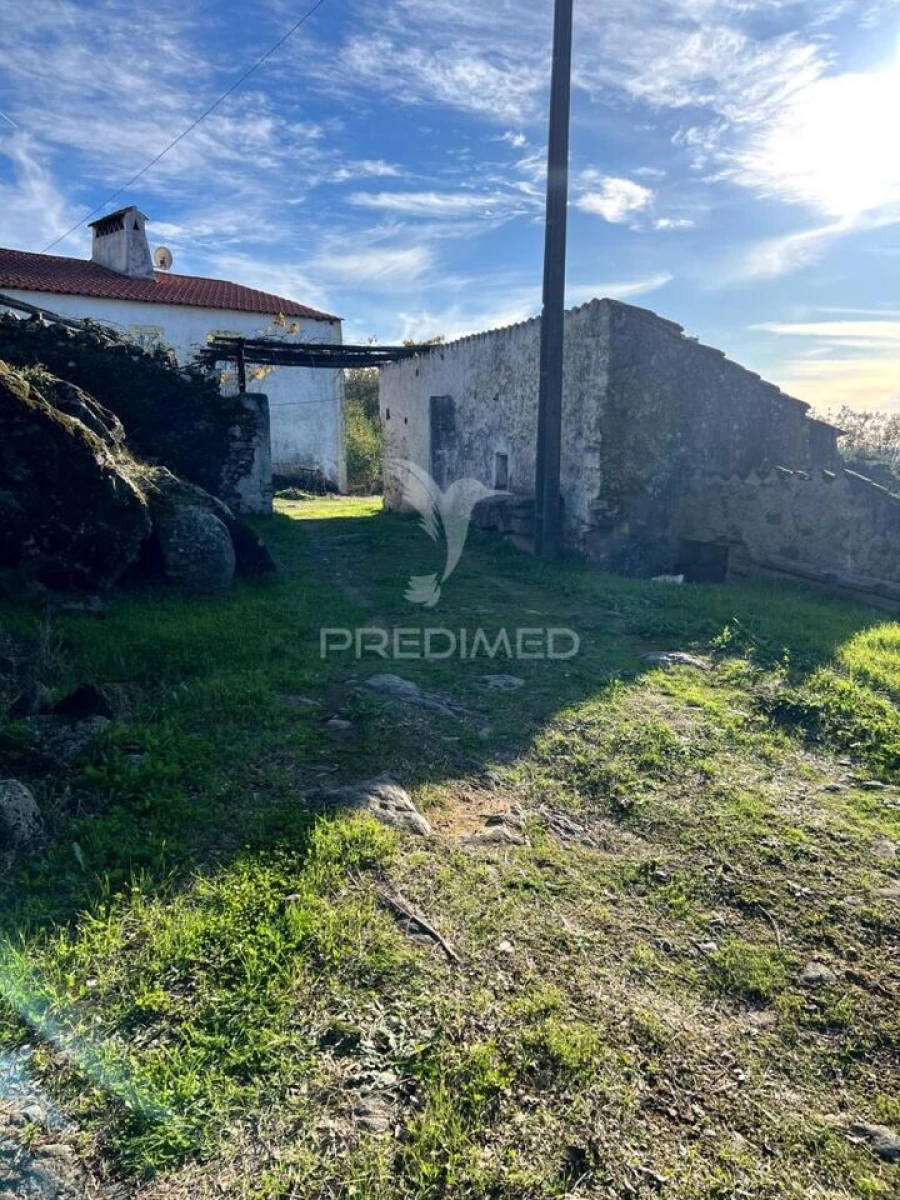 Quinta T2 para Venda em Ribeira de Nisa e Carreiras Foto 17