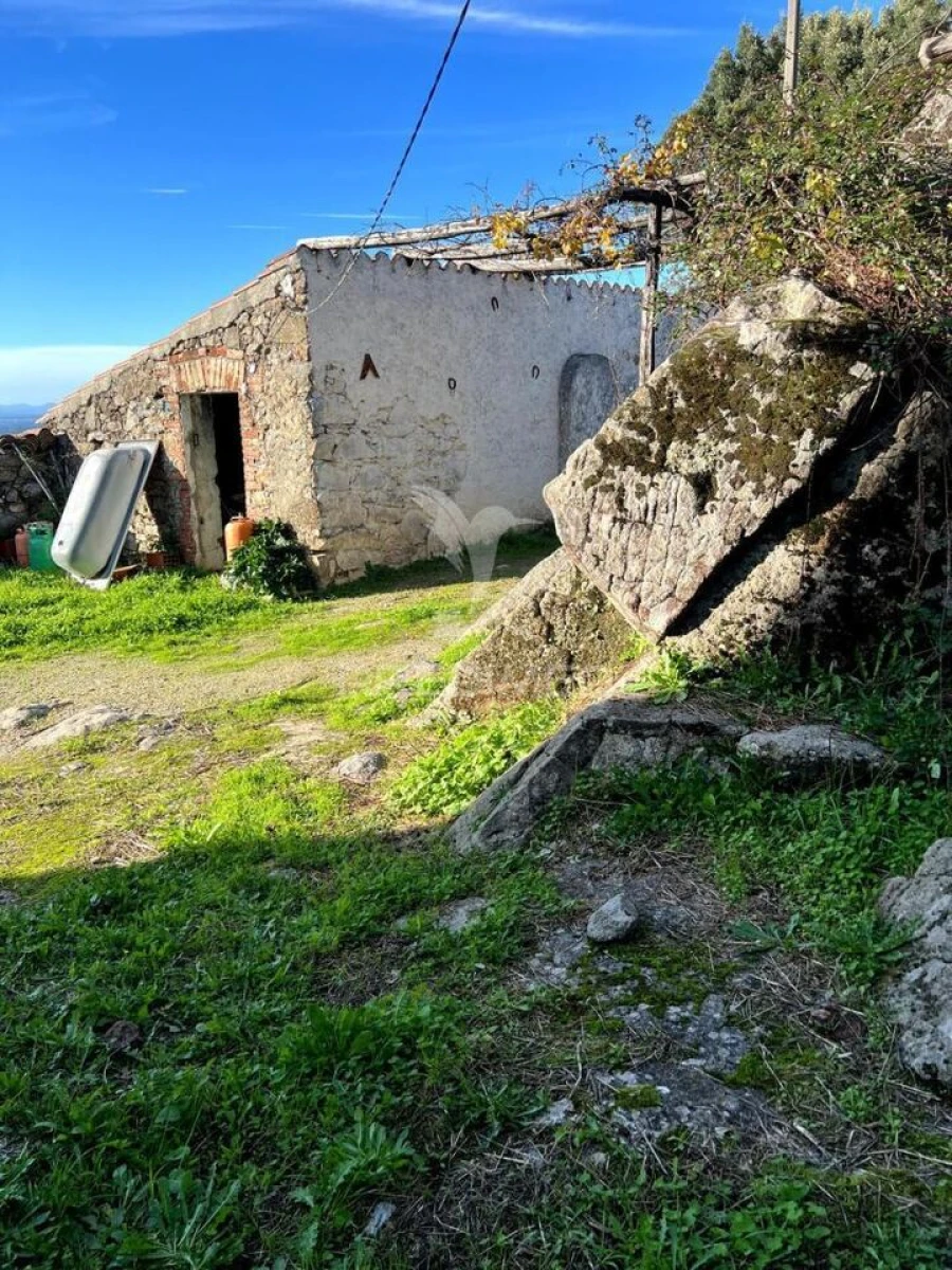 Quinta T2 para Venda em Ribeira de Nisa e Carreiras Foto 2