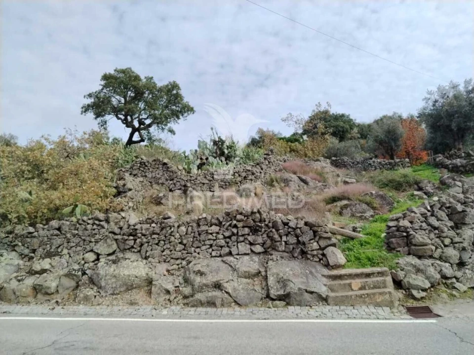 Terreno para Venda em Ribeira de Nisa e Carreiras Foto 2