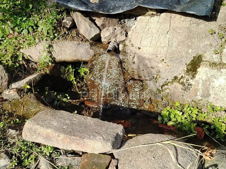 Terreno para Venda em Ribeira de Nisa e Carreiras Foto 5