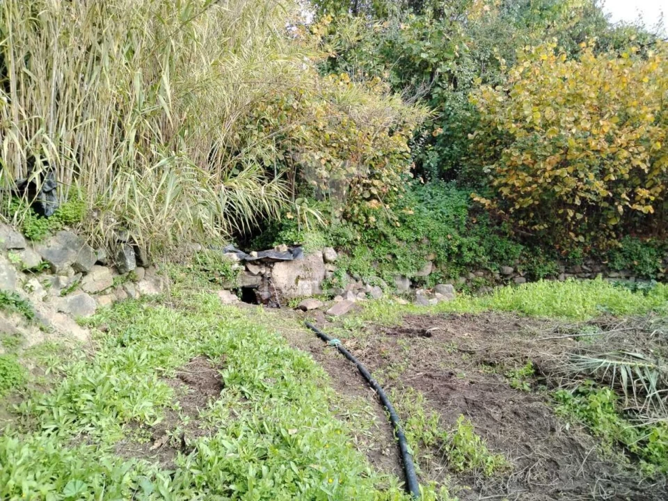 Terreno para Venda em Ribeira de Nisa e Carreiras Foto 4