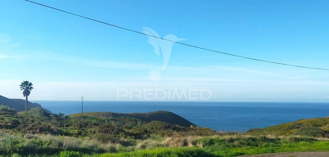 Loja para Venda em Colares Foto 33