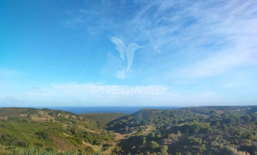 Loja para Venda em Colares Foto 32