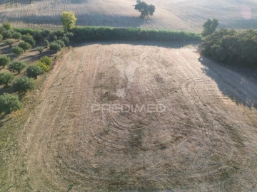 Terreno para Venda em Achete, Azoia de Baixo e Póvoa de Santarém