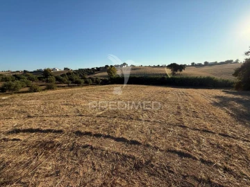 Terreno para Venda em Achete, Azoia de Baixo e Póvoa de Santarém