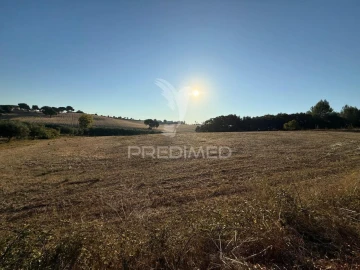 Terreno para Venda em Achete, Azoia de Baixo e Póvoa de Santarém